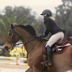 Meet your Posher, Jessie